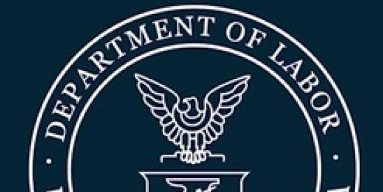 Department of Labor DOL electronic disclosure rule