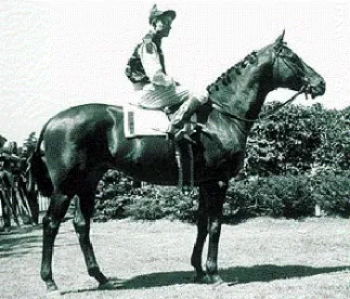1920 Horse Protection Act Regulation Under Scrutiny