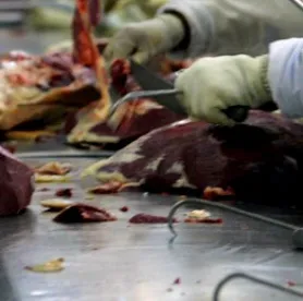 meat processing, nitrate, nitrite, uncured labeling