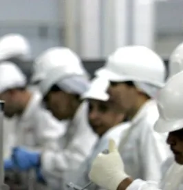 Meat Processing Plant