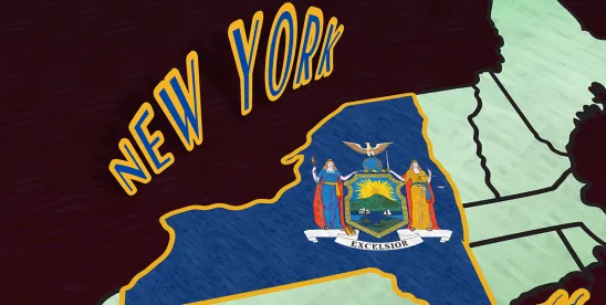 New York state map and flag