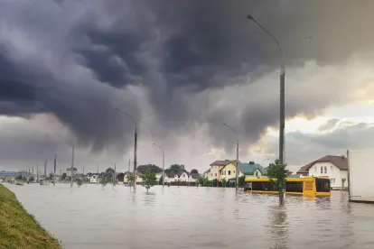Hurricane Ian Flooding Natural Disasters