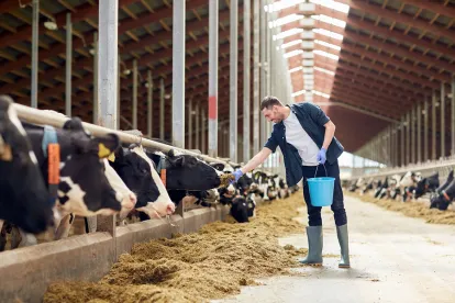 US Chobani Class Action Fair Trade Dairy Farm Dangerous Conditions