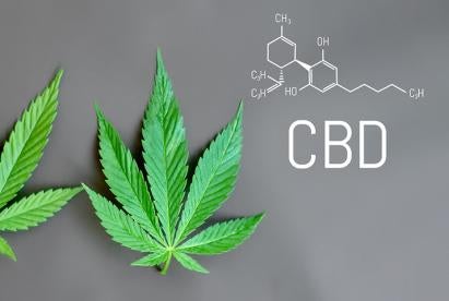 CBD CDL Drivers DOT Drug Testing Positive