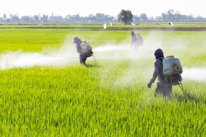 Pesticide Maintenance Fees Deadline