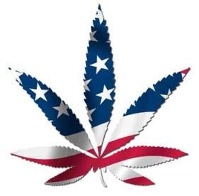 state of cannabis in the united states marijuana leaf shaped stars and stripes