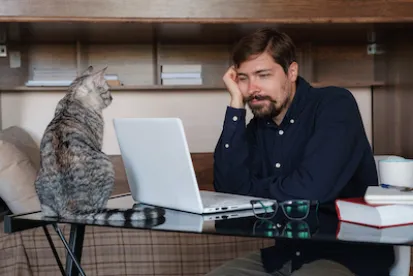 My cat is actually my boss