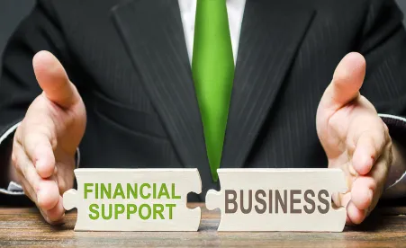 puzzles of finance and business