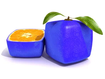 a perfectly genetically altered orange