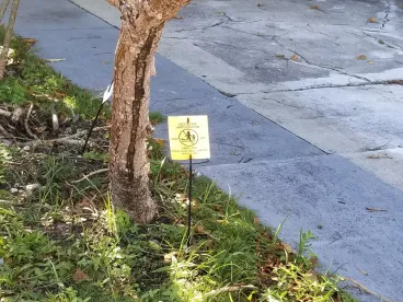 Pesticide marker