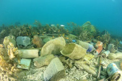 Interagency Seminars on Plastic Waste