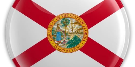 Florida Stop WOKE Bill