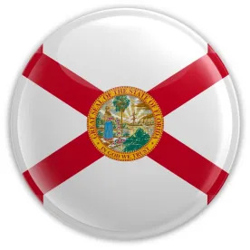Scandalous florida confederate flag button 