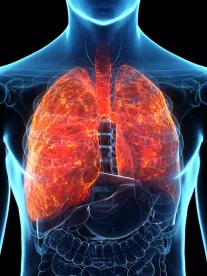 Coronavirus takes over the lungs