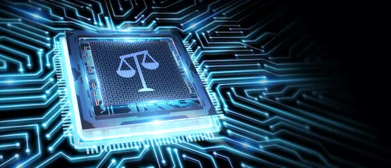 legal balance in the cyberworld