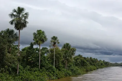 Amazon Rainforest Deforestation