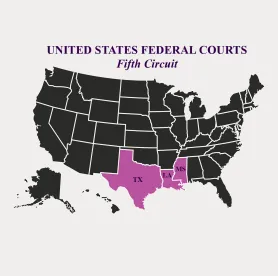 5th Circuit Japanese Collision Case