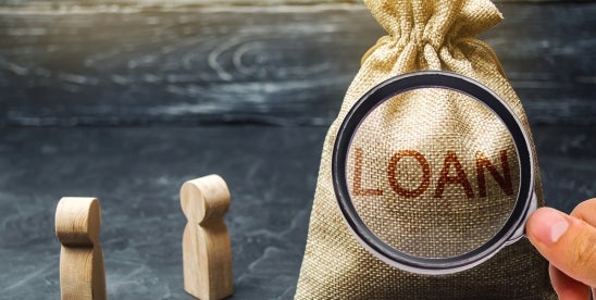 PPP Loan Borrower Information Being Made Public