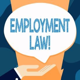 Trade Secrets, Non-Competes, and Employment Law Issues