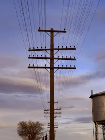 Telecommunications News Update October 5