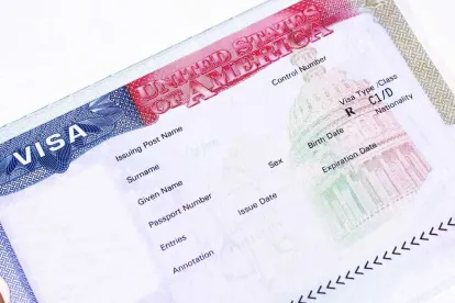 US Visa 
