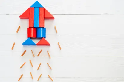 Risks Involved in Start-Up Company Investing
