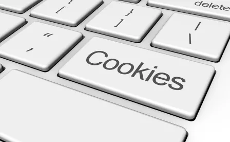 Austrian Data Protection Authority Google Analytics Cookies EU GDPR