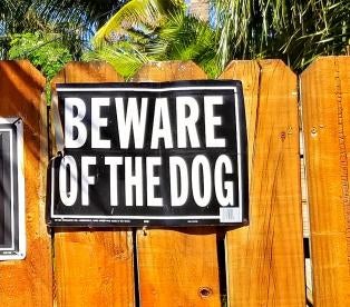 Beware of Dog Owners Dog Bite Personal Injury Litigation