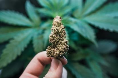 Federal Marijuana Legalization Bill Introduced