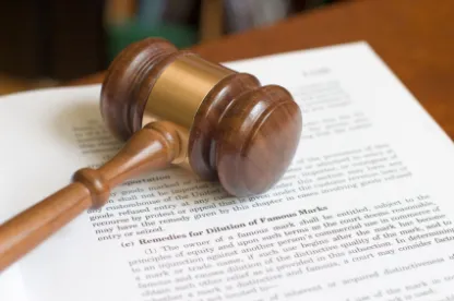 IP litigation