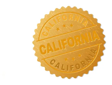 California Corporate Law LLCs Lawsuit Friend of Camden, Inc. v. Brandt