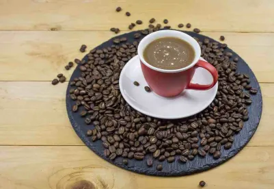 Colectivo Coffee Covid-19 Business Losses Not Covered by Property Insurance