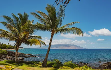Hate Crime Attack in Maui