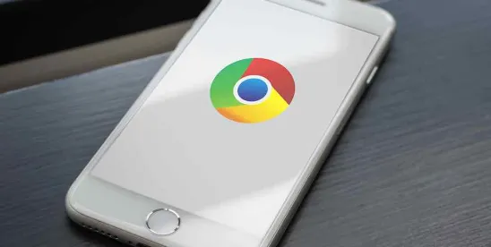 Internet Search History Turned Over in TCPA Case