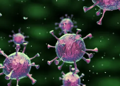 Coronavirus Pandemic and Employer Healthcare Plans