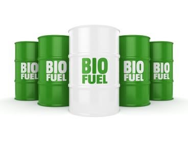 Biofuel and Bioproduct Conversion Award from DOE