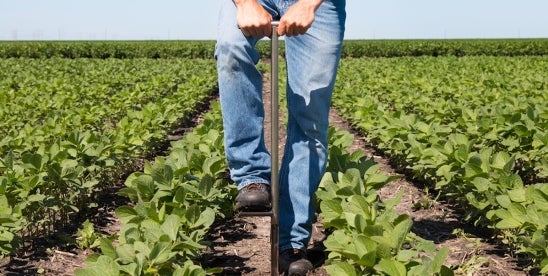 North Carolina's Right to Farm Act