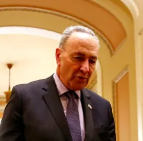 Schumer Senate Inaugural AI Insight