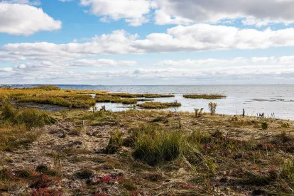 EPA Army Corps Wetlands WOTUS