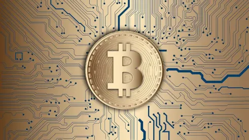 Bankrupt Crypto Firms and Stakeholder Education