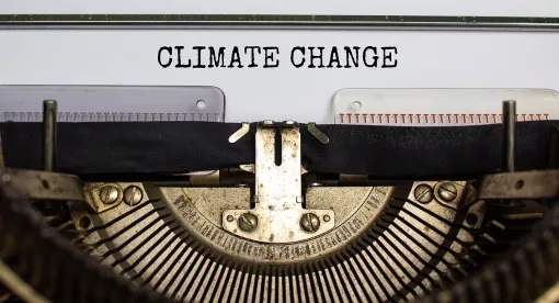 Climate Change Impacts and Risks for Companies