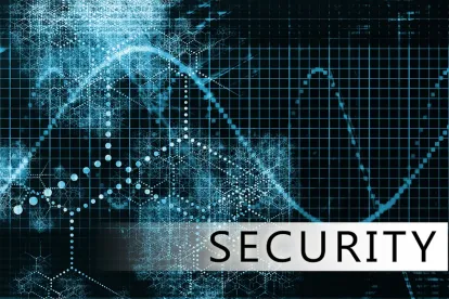 Decentralized Autonomous Organizations Investment Concerns