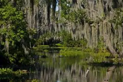 CA Holds Wetlands to Higher Standard than EOA OK SCOTUS