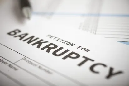 Bankruptcy Chapter 11 in New York and Delaware