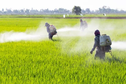 EPA Updates Several Pesticide Crop Groupings