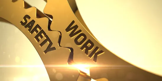 OSHA New Instance by Instance IBI Penalties and Citations