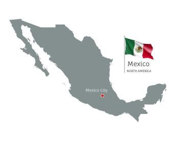 Mexican Circuit Courts Release Patent Criteria