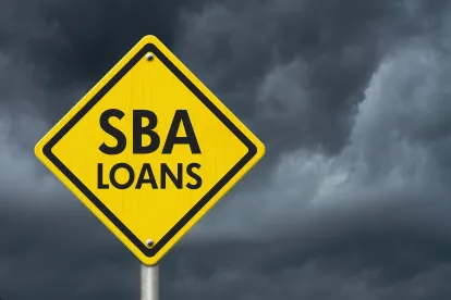 SBA Appeals of Paycheck Protection Program Loan Decisions