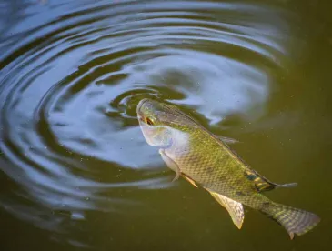 EPA Regulation and Litigation Updates July 2022