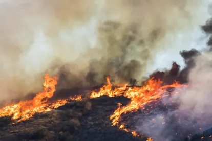 Updated Heat Safety Rules To Affect Washington Summer Forestry